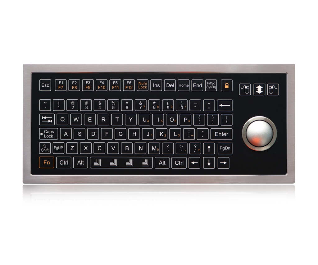 AW-D333-OTB-FN-DT-SW-01