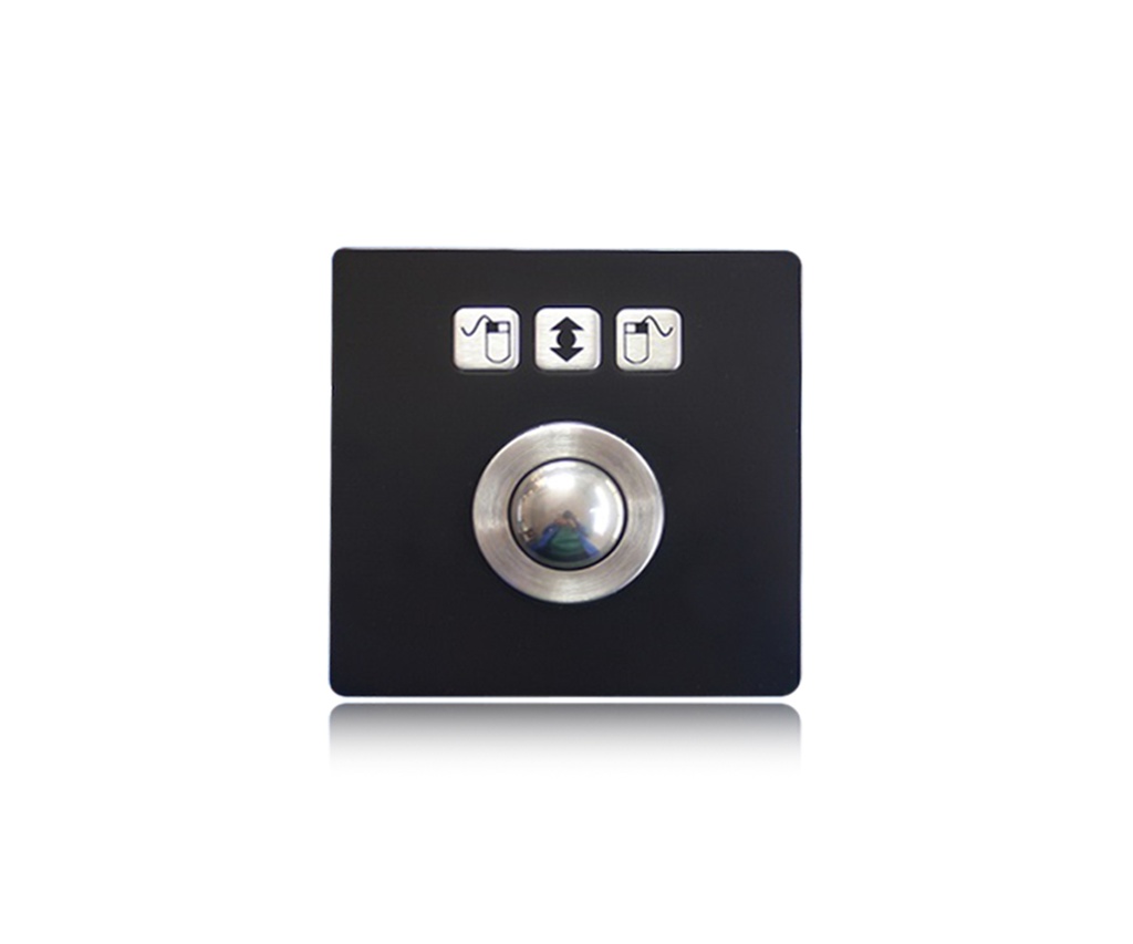 AW-B88-25-OTB-BT-DWP