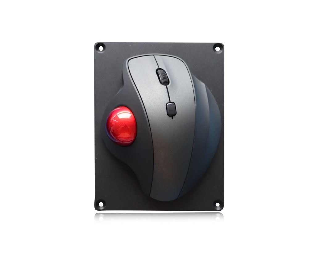 AW-M115-OTB