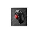 AW-M129-150-OTB-NV-151B-DWP