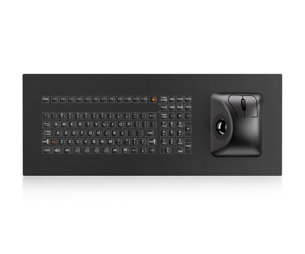 AW-D543KP-FN-SW+134-38-MTB-AVR