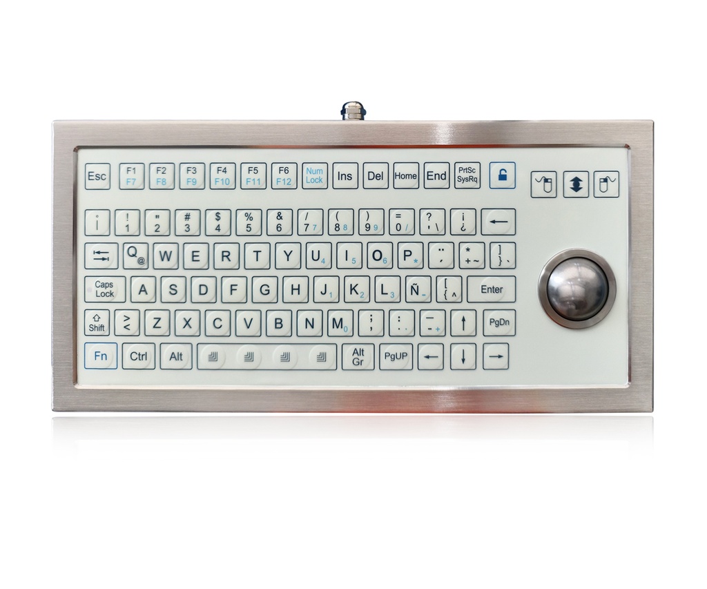 AW-D333-OTB-FN-DT-SW
