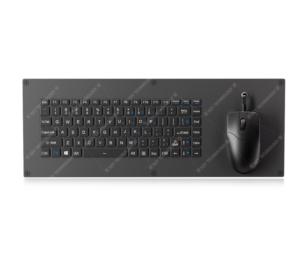 AW-V455-FN-BL-FC-SC-ANA-151B-M58-OMS