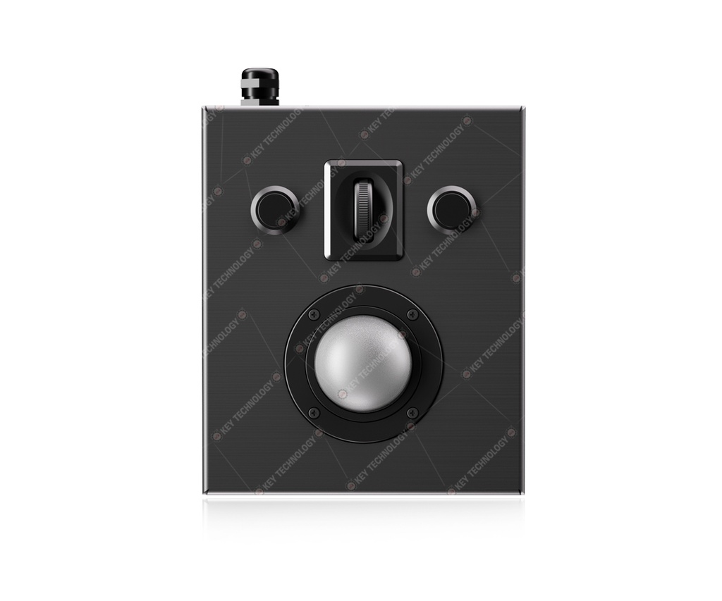 AW-B116-38-OTB-AVR-RM-BT-DT-DWP