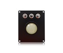 AW-B82-38-CTB-BL-BT-DWP